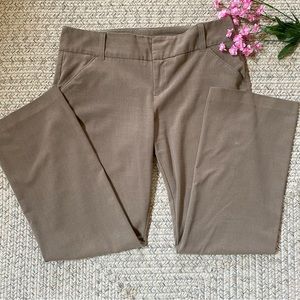Daisy Fuentes Tan Dress Work pant